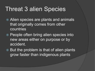 Threat 3 alien Species
 Alien species are plants and animals
that originally comes from other
countries
 People often bring alien species into
new areas either on purpose or by
accident.
 But the problem is that of alien plants
grow faster than indigenous plants
 