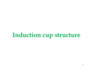 Induction cup structureInduction cup structure
27
 