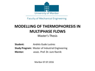 MODELLING OF THERMOPHORESIS IN
MULTIPHASE FLOWS
Master's Thesis
Student: Andrés Gude Lustres
Study Program: Master of Industrial Engineering
Mentor: assoc. Prof. Dr. Jure Ravnik
Maribor 07.07.2016
 