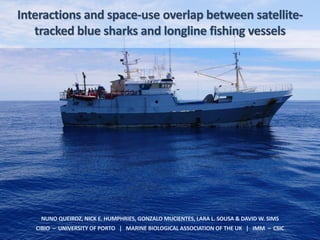 Interactions and space-use overlap between satellite-
   tracked blue sharks and longline fishing vessels




    NUNO QUEIROZ, NICK E. HUMPHRIES, GONZALO MUCIENTES, LARA L. SOUSA & DAVID W. SIMS
   CIBIO – UNIVERSITY OF PORTO | MARINE BIOLOGICAL ASSOCIATION OF THE UK | IMM – CSIC
 
