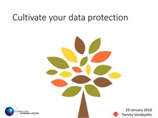 Cultivate your data protection
29 January 2018
Tommy Vandepitte
 