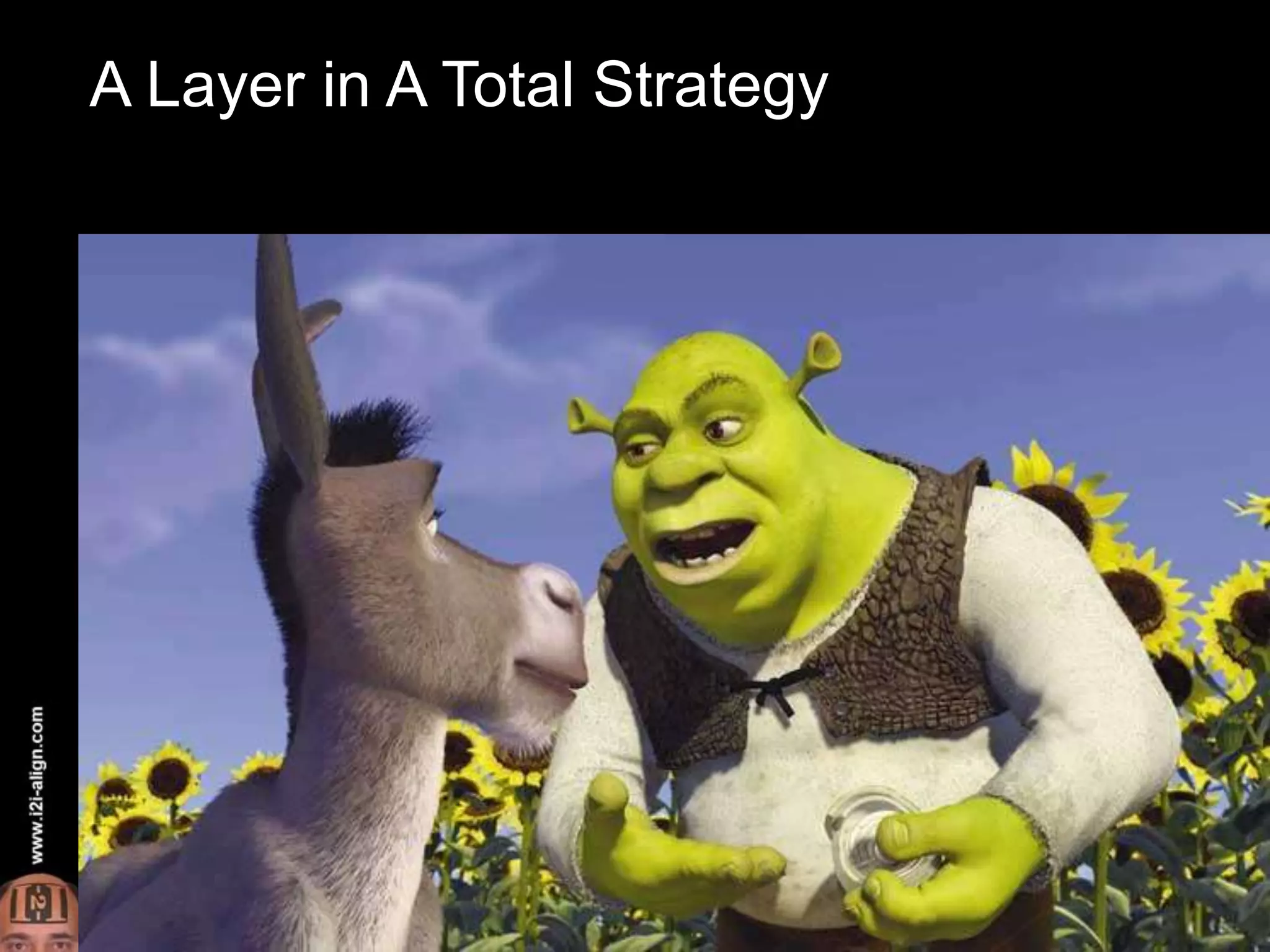 A Layer in A Total Strategy