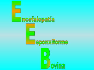 E ncefalopatía E sponxiforme B ovina 