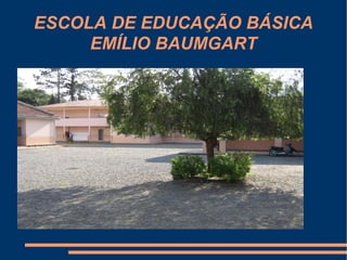 ESCOLA DE EDUCAÇÃO BÁSICA EMÍLIO BAUMGART 