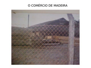 O COMÉRCIO DE MADEIRA 