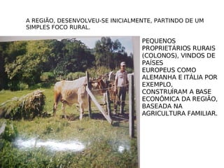 A REGIÃO, DESENVOLVEU-SE INICIALMENTE, PARTINDO DE UM  SIMPLES FOCO RURAL.  PEQUENOS PROPRIETÁRIOS RURAIS (COLONOS), VINDOS DE PAÍSES  EUROPEUS COMO ALEMANHA E ITÁLIA POR EXEMPLO, CONSTRUÍRAM A BASE ECONÔMICA DA REGIÃO, BASEADA NA AGRICULTURA FAMILIAR.  
