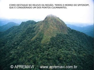 COMO DESTAQUE NO RELEVO DA REGIÃO, TEMOS O MORRO DO SPITZKOPF, QUE É CONSIDERADO UM DOS PONTOS CULMINANTES. 