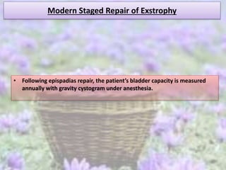 Modern Staged Repair of Exstrophy
• Following epispadias repair, the patient’s bladder capacity is measured
annually with gravity cystogram under anesthesia.
 