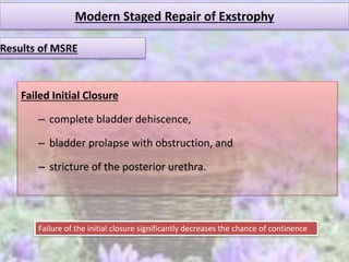 Modern Staged Repair of Exstrophy
Failed Initial Closure
– complete bladder dehiscence,
– bladder prolapse with obstruction, and
– stricture of the posterior urethra.
Results of MSRE
Failure of the initial closure significantly decreases the chance of continence
 