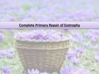 Complete Primary Repair of Exstrophy
 