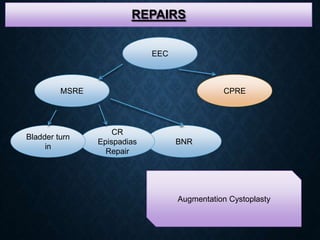 REPAIRS
EEC
CPRE
BNR
CR
Epispadias
Repair
Bladder turn
in
MSRE
Augmentation Cystoplasty
 