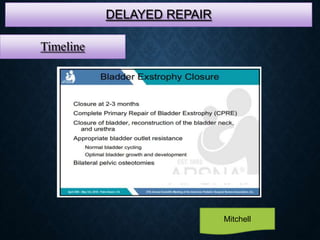 DELAYED REPAIR
Timeline
Mitchell
 