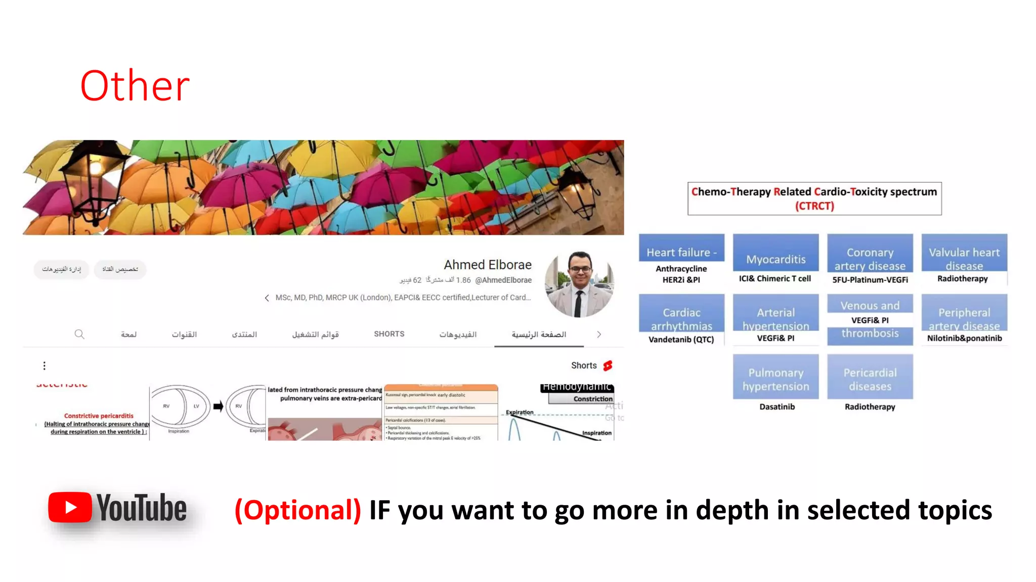 Other
(Optional) IF you want to go more in depth in selected topics
 