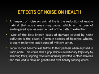 EFFECTS OF NOISE ON HEALTH
• An impact of noise on animal life is the reduction of usable
habitat that noisy areas may cause, which in the case of
endangered species may be part of the path to extinction.
• One of the best known cases of damage caused by noise
pollution is the death of certain species of beached whales,
brought on by the loud sound of military sonar.
• Zebra finches become less faithful to their partners when exposed to
traffic noise. This could alter a population's evolutionary trajectory by
selecting traits, sapping resources normally devoted to other activities
and thus lead to profound genetic and evolutionary consequences.
 