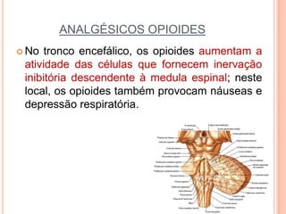 ANALGÉSICOS OPIOIDES
 No tronco encefálico, os opioides aumentam a
atividade das células que fornecem inervação
inibitória descendente à medula espinal; neste
local, os opioides também provocam náuseas e
depressão respiratória.
 