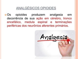 ANALGÉSICOS OPIOIDES
 Os opioides produzem analgesia em
decorrência de sua ação em cérebro, tronco
encefálico, medula espinal e terminações
periféricas dos neurônios aferentes primários.
 