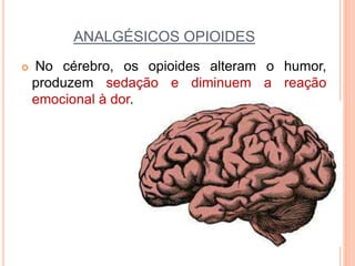 ANALGÉSICOS OPIOIDES
 No cérebro, os opioides alteram o humor,
produzem sedação e diminuem a reação
emocional à dor.
 