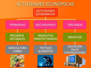 ACTIVIDADES ECONÓMICAS
               ACTIVIDADES
               ECONÓMICAS


PRIMARIAS      SECUNDARIAS      TERCIARIAS


RECURSOS        PRODUCTOS
                                 SERVICIOS
NATURALES     MANUFACTURADOS

                                 EDUCACIÓN
AGRICULTURA      TEXTILES
                                   SALUD
   COBRE        ALIMENTOS      COMUNICACIONES
 
