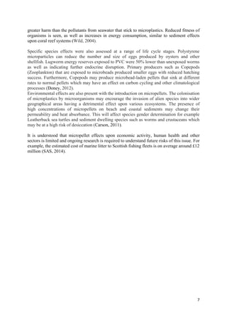 Microplastics Report | PDF