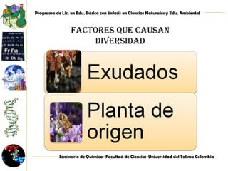 Factores que causan DIVERSIDAD 