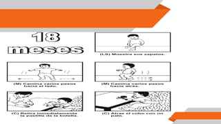 (LS) Muestra sus zapatos.
(M) Camina varios pasos
hacia el lado.
(C) Retira inmediatamente
la pastilla de la botella.
(M) Camina varios pasos
hacia atrás.
(C) Atrae el cubo con un
palo.
 