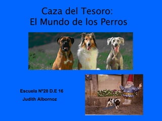 Caza del Tesoro:  El Mundo de los Perros Escuela Nº28 D.E 16  Judith Albornoz 