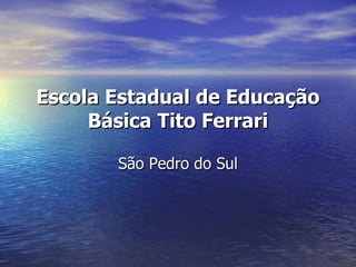 Escola Estadual de Educação Básica Tito Ferrari São Pedro do Sul 