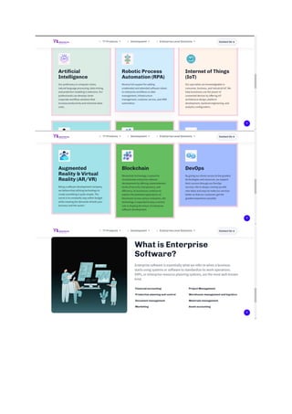 Best Enterprise Software Development in bhubnaswar | PDF