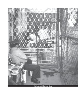 PPPPPahinungód Behind Bahinungód Behind Bahinungód Behind Bahinungód Behind Bahinungód Behind Barsarsarsarsars
 