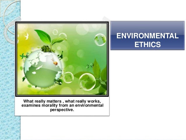 environmental laws environmental ethics what really matters what really works