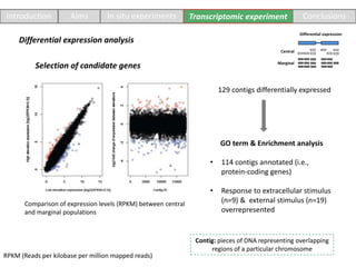 RPKM (Reads per kilobase per million mapped reads)
Introduction Aims In situ experiments Transcriptomic experiment Conclusions
Comparison of expression levels (RPKM) between central
and marginal populations
129 contigs differentially expressed
GO term & Enrichment analysis
• 114 contigs annotated (i.e.,
protein-coding genes)
• Response to extracellular stimulus
(n=9) & external stimulus (n=19)
overrepresented
Central
Marginal
Differential expression
Differential expression analysis
Selection of candidate genes
Contig: pieces of DNA representing overlapping
regions of a particular chromosome
 