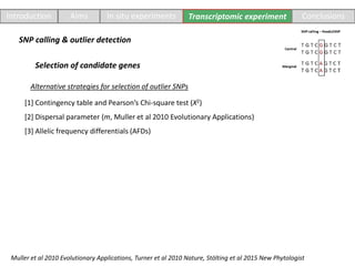 [1] Contingency table and Pearson’s Chi-square test (X2)
[2] Dispersal parameter (m, Muller et al 2010 Evolutionary Applications)
[3] Allelic frequency differentials (AFDs)
Introduction Aims In situ experiments Transcriptomic experiment Conclusions
Alternative strategies for selection of outlier SNPs
Selection of candidate genes
SNP calling & outlier detection
Muller et al 2010 Evolutionary Applications, Turner et al 2010 Nature, Stölting et al 2015 New Phytologist
 