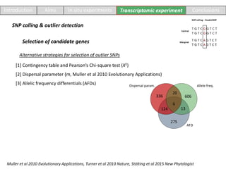 Introduction Aims In situ experiments Transcriptomic experiment Conclusions
SNP calling & outlier detection
Dispersal param. Allele freq.
AFD
336 606
275
20
13124
6
Muller et al 2010 Evolutionary Applications, Turner et al 2010 Nature, Stölting et al 2015 New Phytologist
Selection of candidate genes
[1] Contingency table and Pearson’s Chi-square test (X2)
[2] Dispersal parameter (m, Muller et al 2010 Evolutionary Applications)
[3] Allelic frequency differentials (AFDs)
Alternative strategies for selection of outlier SNPs
 