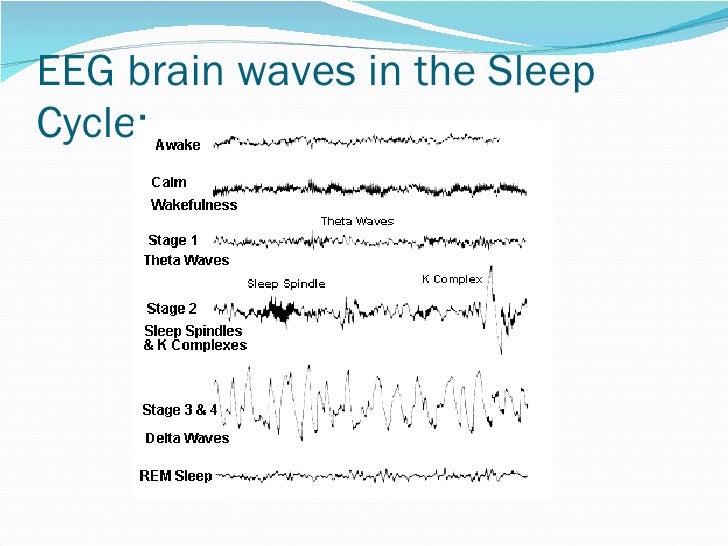 EEG: Basics