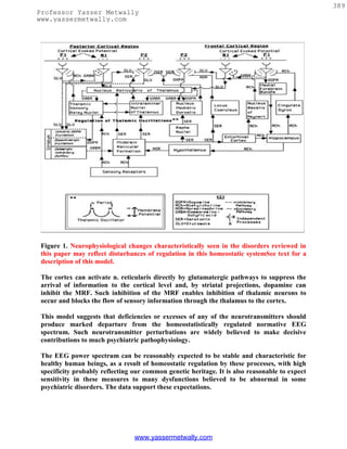 389
Professor Yasser Metwally
www.yassermetwally.com




 Figure 1. Neurophysiological changes characteristically seen in the disorders reviewed in
 this paper may reflect disturbances of regulation in this homeostatic systemSee text for a
 description of this model.

 The cortex can activate n. reticularis directly by glutamatergic pathways to suppress the
 arrival of information to the cortical level and, by striatal projections, dopamine can
 inhibit the MRF. Such inhibition of the MRF enables inhibition of thalamic neurons to
 occur and blocks the flow of sensory information through the thalamus to the cortex.

 This model suggests that deficiencies or excesses of any of the neurotransmitters should
 produce marked departure from the homeostatistically regulated normative EEG
 spectrum. Such neurotransmitter perturbations are widely believed to make decisive
 contributions to much psychiatric pathophysiology.

 The EEG power spectrum can be reasonably expected to be stable and characteristic for
 healthy human beings, as a result of homeostatic regulation by these processes, with high
 specificity probably reflecting our common genetic heritage. It is also reasonable to expect
 sensitivity in these measures to many dysfunctions believed to be abnormal in some
 psychiatric disorders. The data support these expectations.




                                 www.yassermetwally.com
 