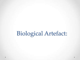 Biological Artefact:
 
