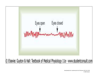 Downloaded from: StudentConsult (on 8 February 2012 02:51 PM)
© 2005 Elsevier
 