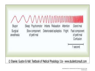 Downloaded from: StudentConsult (on 8 February 2012 02:51 PM)
© 2005 Elsevier
 