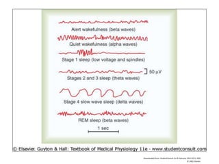 Downloaded from: StudentConsult (on 8 February 2012 02:51 PM)
© 2005 Elsevier
 