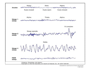 Downloaded from: StudentConsult (on 6 February 2012 04:18 PM)
© 2005 Elsevier
 