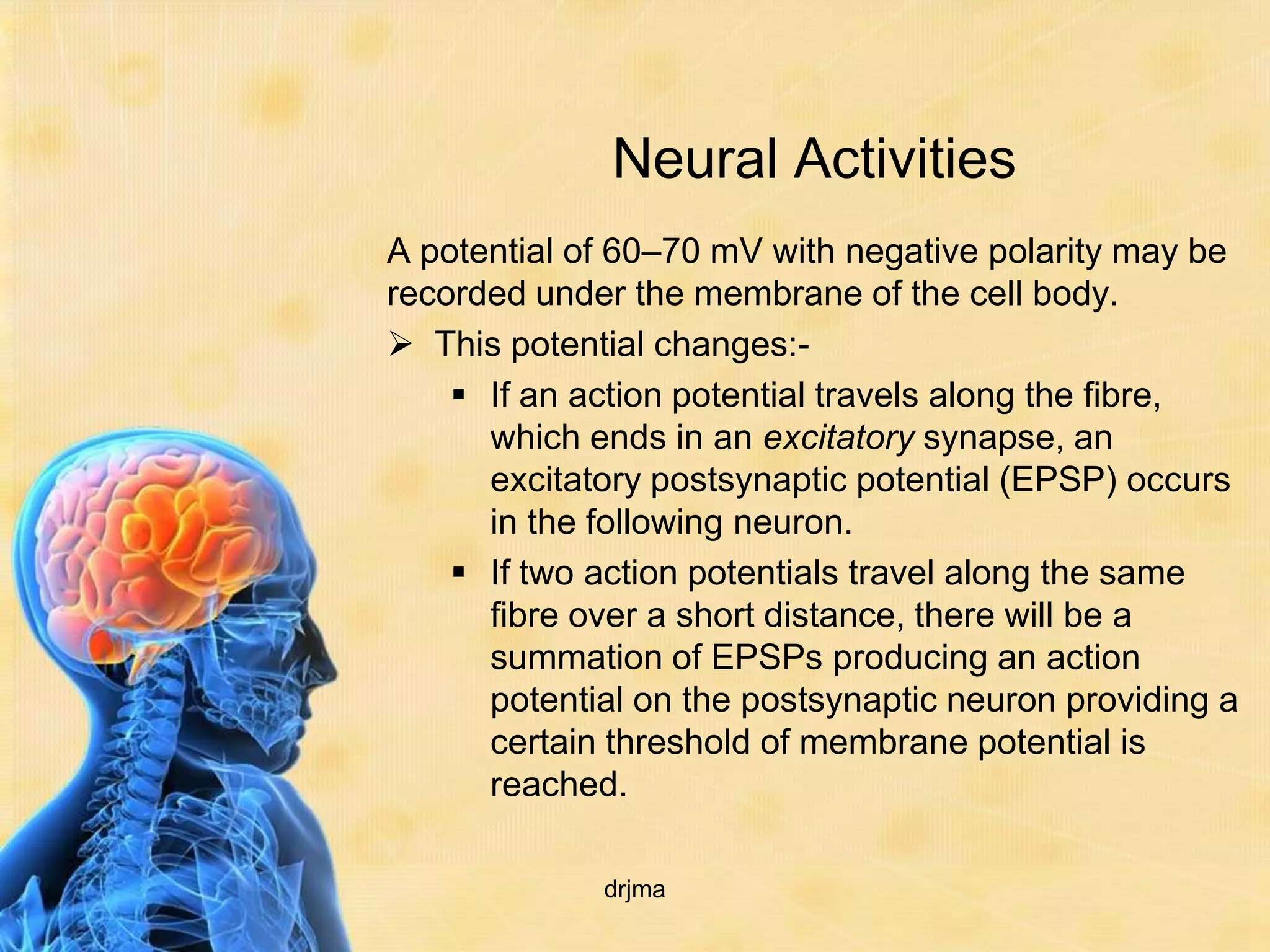 Neural Activities
A potential of 60–70 mV with negative polarity may be
recorded under the membrane of the cell body.
 This potential changes:-
     If an action potential travels along the fibre,
      which ends in an excitatory synapse, an
      excitatory postsynaptic potential (EPSP) occurs
      in the following neuron.
     If two action potentials travel along the same
      fibre over a short distance, there will be a
      summation of EPSPs producing an action
      potential on the postsynaptic neuron providing a
      certain threshold of membrane potential is
      reached.

             drjma
 