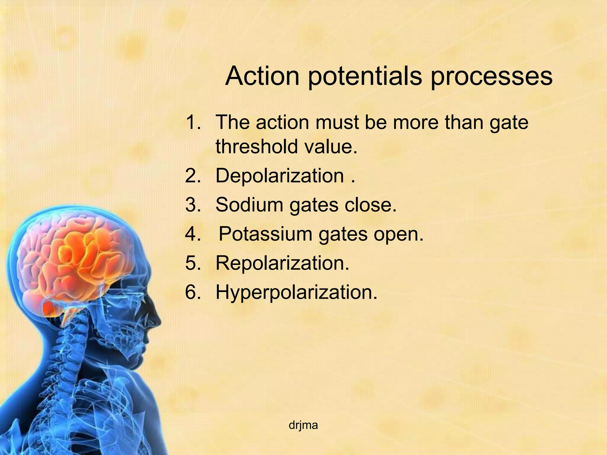 Action potentials processes
1. The action must be more than gate
   threshold value.
2. Depolarization .
3. Sodium gates close.
4. Potassium gates open.
5. Repolarization.
6. Hyperpolarization.




          drjma
 