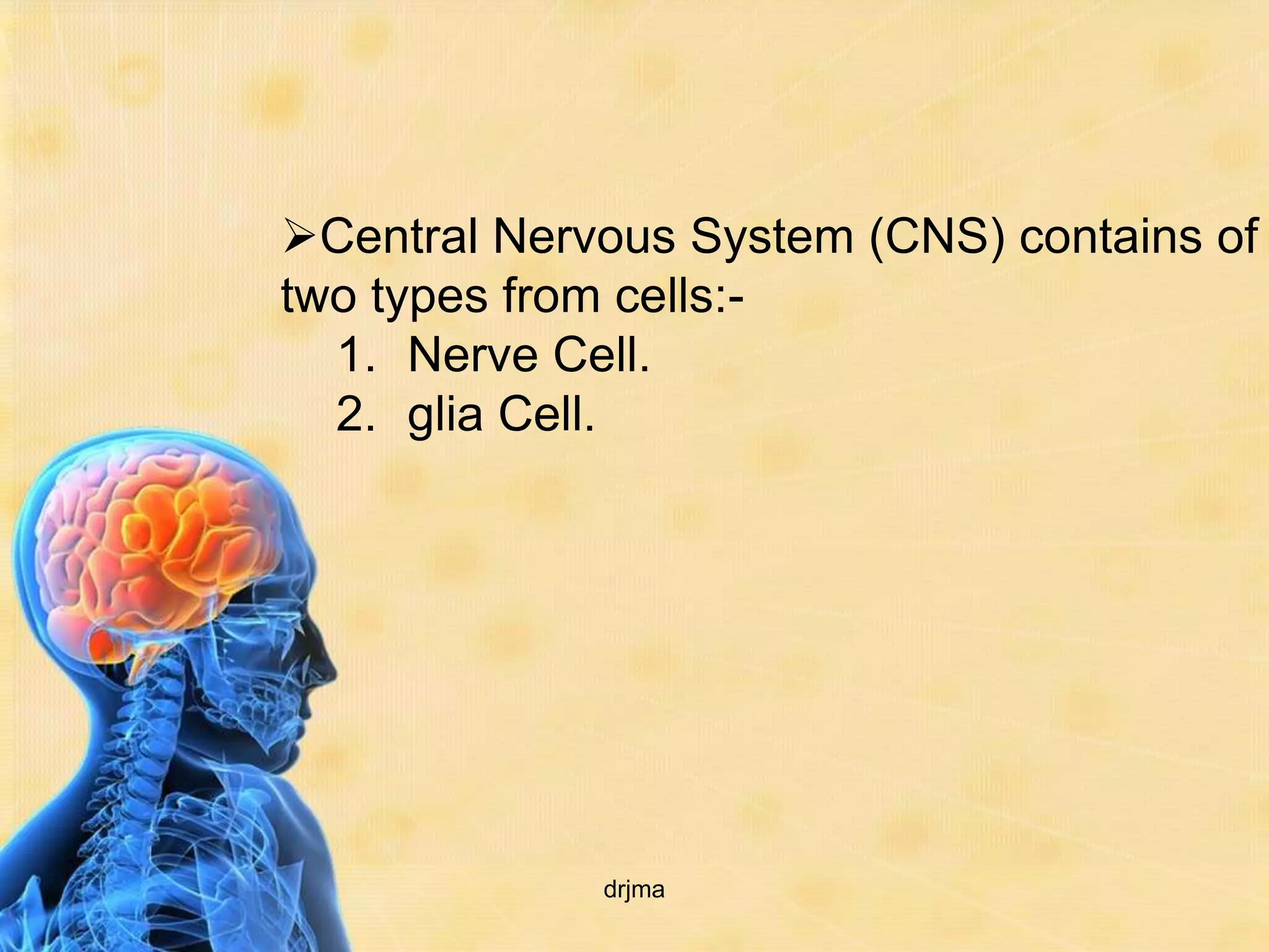 Central Nervous System (CNS) contains of
two types from cells:-
  1. Nerve Cell.
  2. glia Cell.




             drjma
 