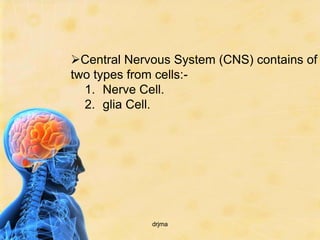 Central Nervous System (CNS) contains of
two types from cells:-
  1. Nerve Cell.
  2. glia Cell.




             drjma
 