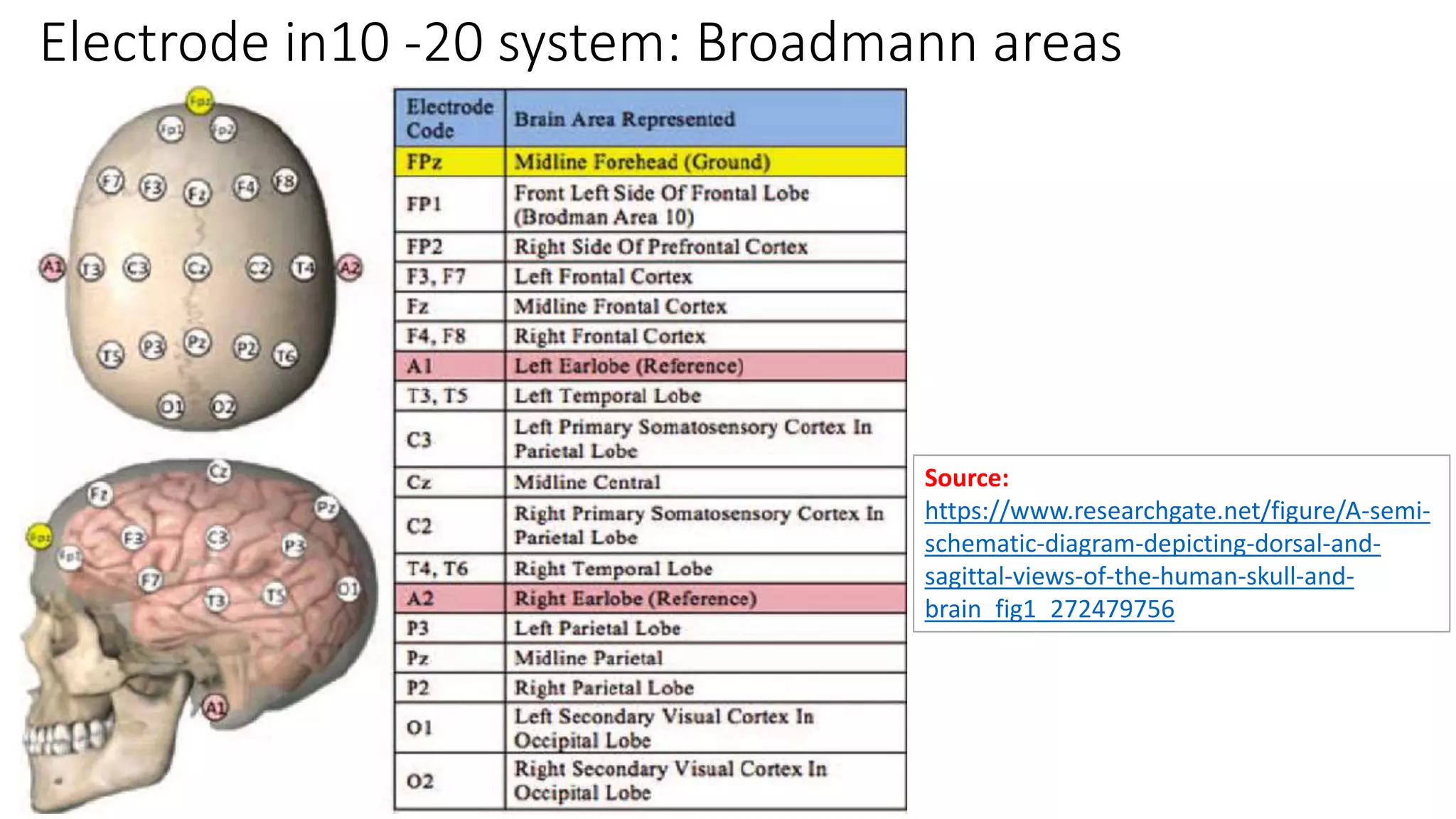 Electrode in10 -20 system: Broadmann areas
Source:
https://www.researchgate.net/figure/A-semi-
schematic-diagram-depicting-dorsal-and-
sagittal-views-of-the-human-skull-and-
brain_fig1_272479756
 