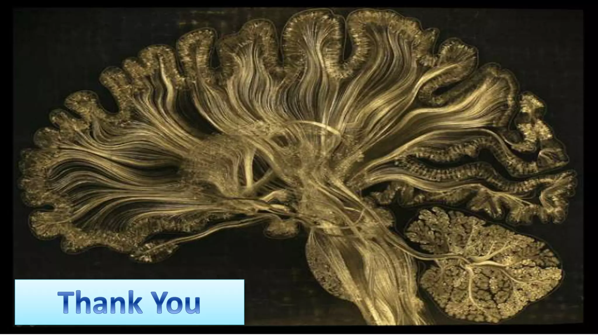 EEG basics for mental health professionals