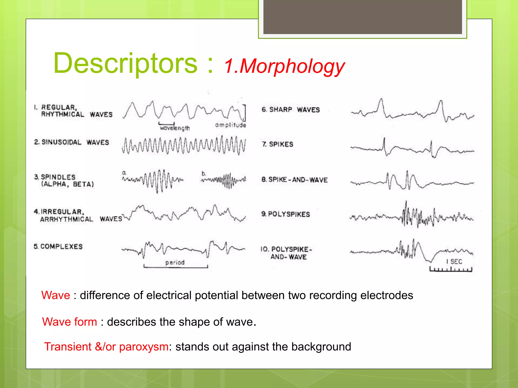 Descriptors : 1.Morphology
Wave : difference of electrical potential between two recording electrodes
Wave form : describes the shape of wave.
Transient &/or paroxysm: stands out against the background
 