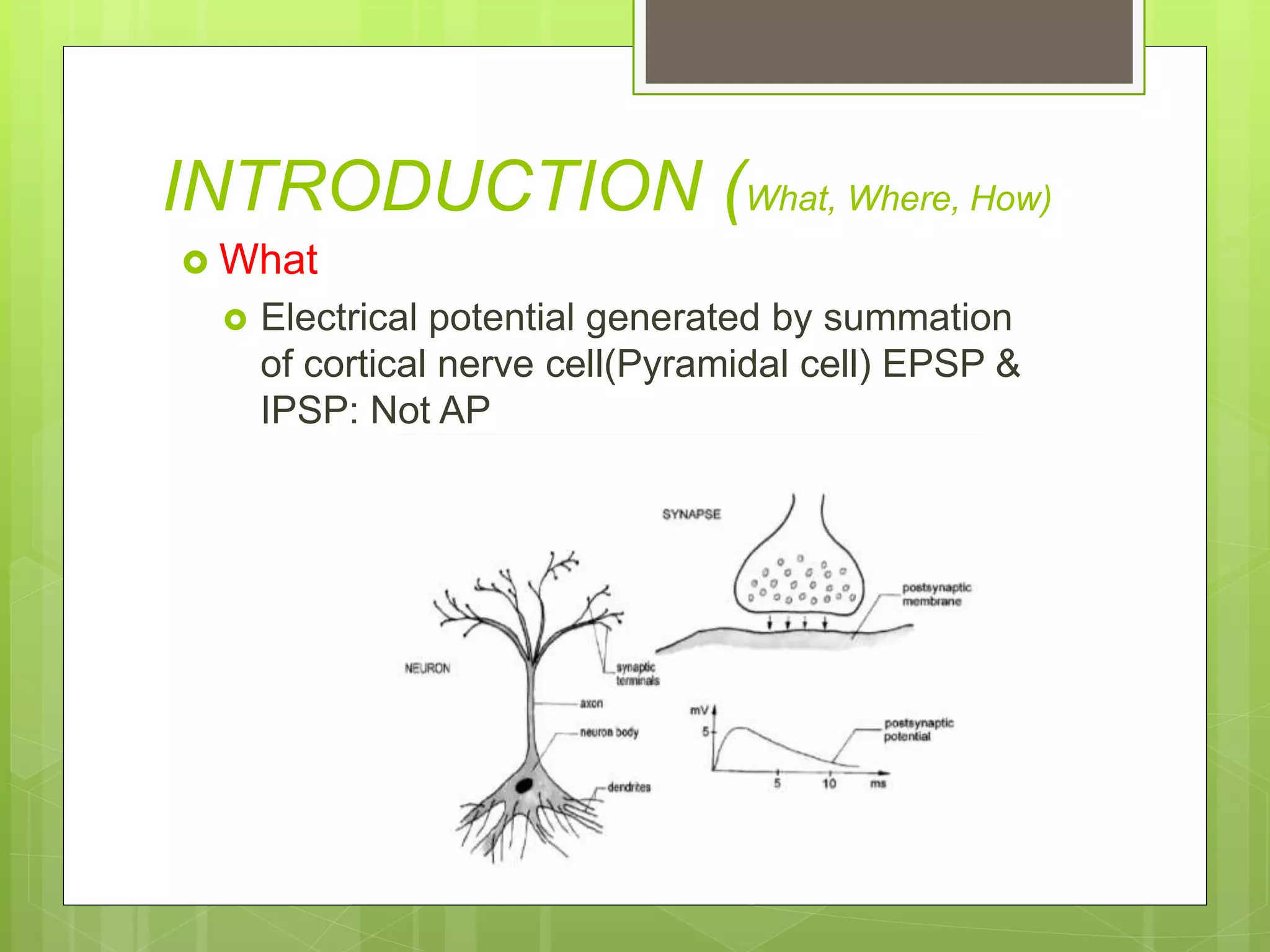 INTRODUCTION (What, Where, How)
 What
 Electrical potential generated by summation
of cortical nerve cell(Pyramidal cell) EPSP &
IPSP: Not AP
 