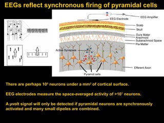 EEGs reflect synchronous firing of pyramidal cells

There are perhaps 105 neurons under a mm2 of cortical surface.
EEG electrodes measure the space-averaged activity of >107 neurons.
A µvolt signal will only be detected if pyramidal neurons are synchronously
activated and many small dipoles are combined.

 