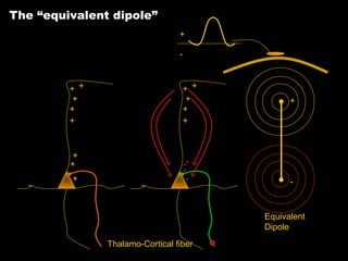 The “equivalent dipole”
+
-

+ +
+
+
+

+
+
+

+ +
+
+
+

--

+

-

Equivalent
Dipole
Thalamo-Cortical fiber

 